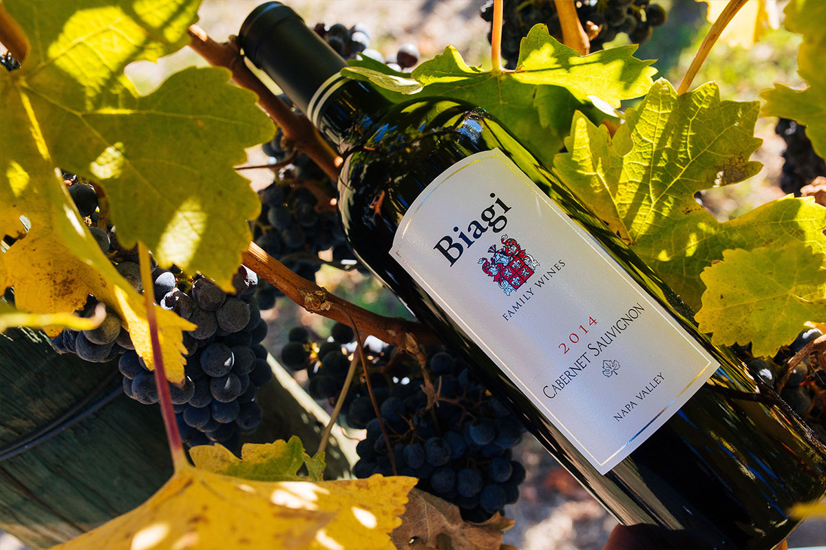 biagiy wines-red-wine